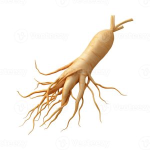 Zona Negeri Ginseng